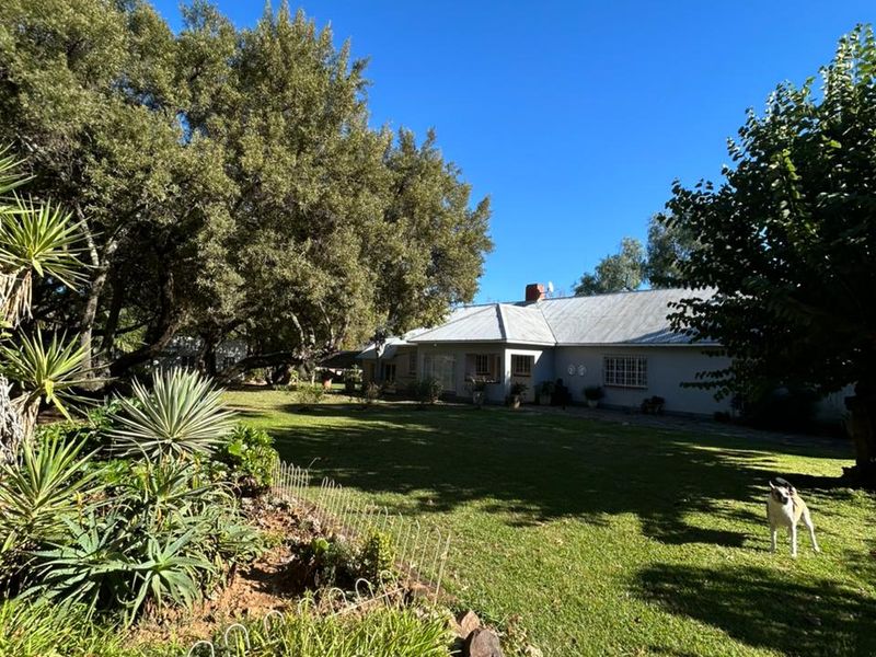 Prime 42 Ha Hartbeespoort Rural Farm with 3 Income-Generating Homes + Extras - Photo 7