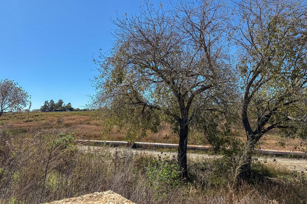 VACANT LAND - Photo 5