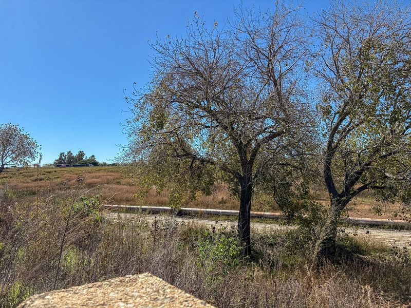VACANT LAND - Photo 5