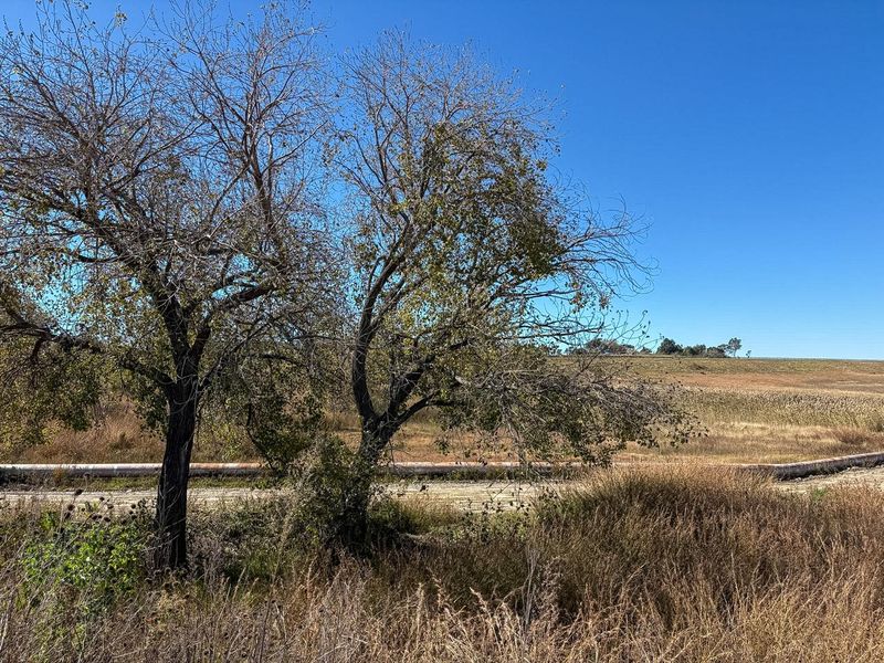 VACANT LAND - Photo 6