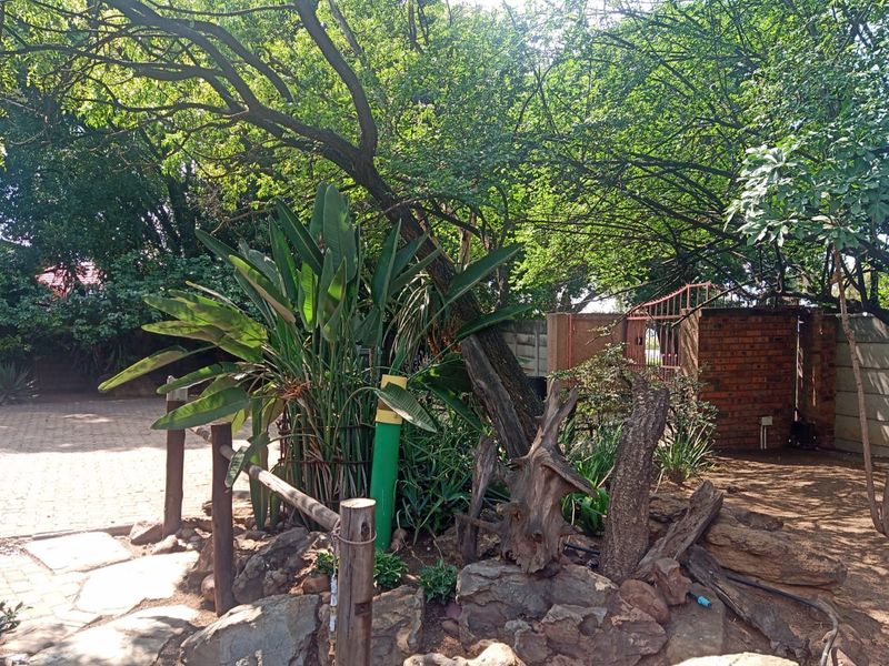 A landscaped garden area featuring mature trees, a rockery, and a paved driveway leading to a brick boundary wall with a metal gate.