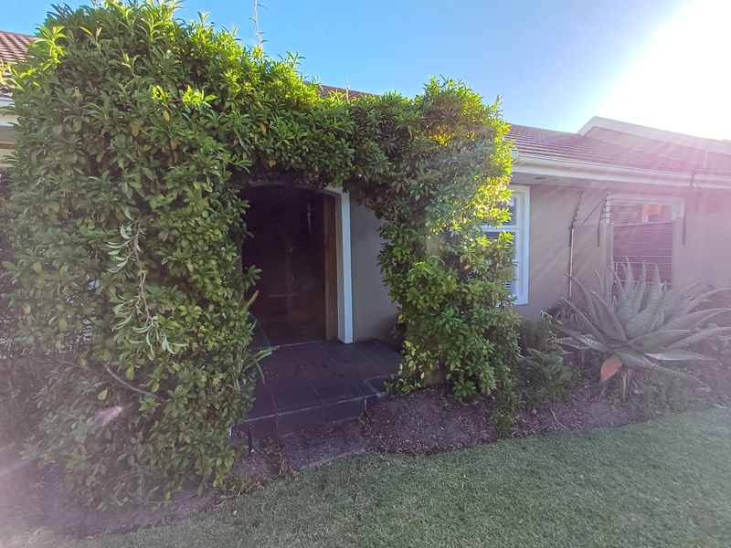 Spacious 4-Bedroom Family Home Bordering Tokai Forest - Photo 6
