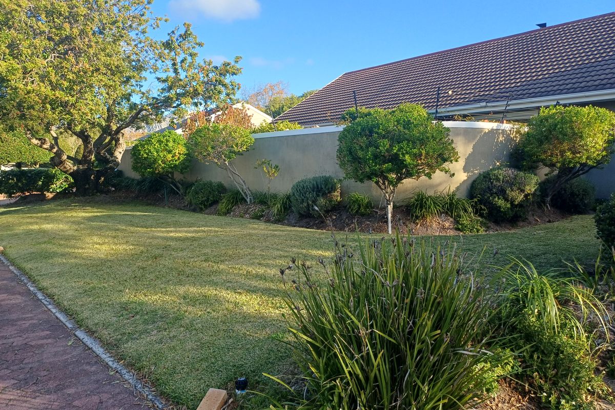 Spacious 4-Bedroom Family Home Bordering Tokai Forest - Photo 3