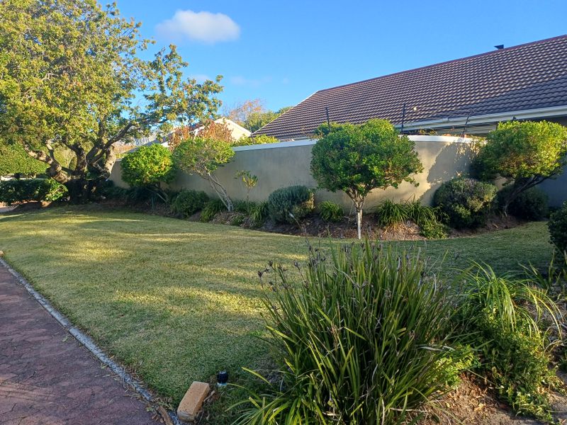 Spacious 4-Bedroom Family Home Bordering Tokai Forest - Photo 3