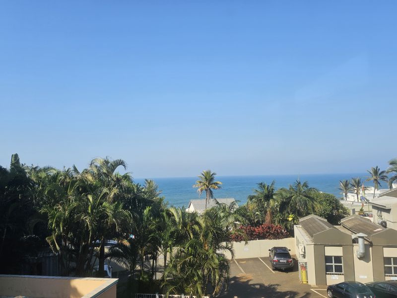 A scenic elevated view overlooking lush palm trees with a clear ocean horizon in the background.