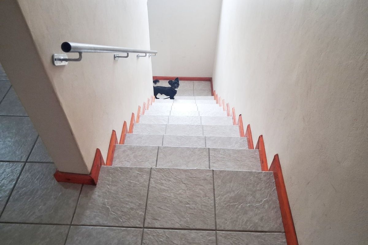 PARSONSVLEI 2 BED 1 BATH HOUSE WITH PARKING FOR RENT - Photo 4