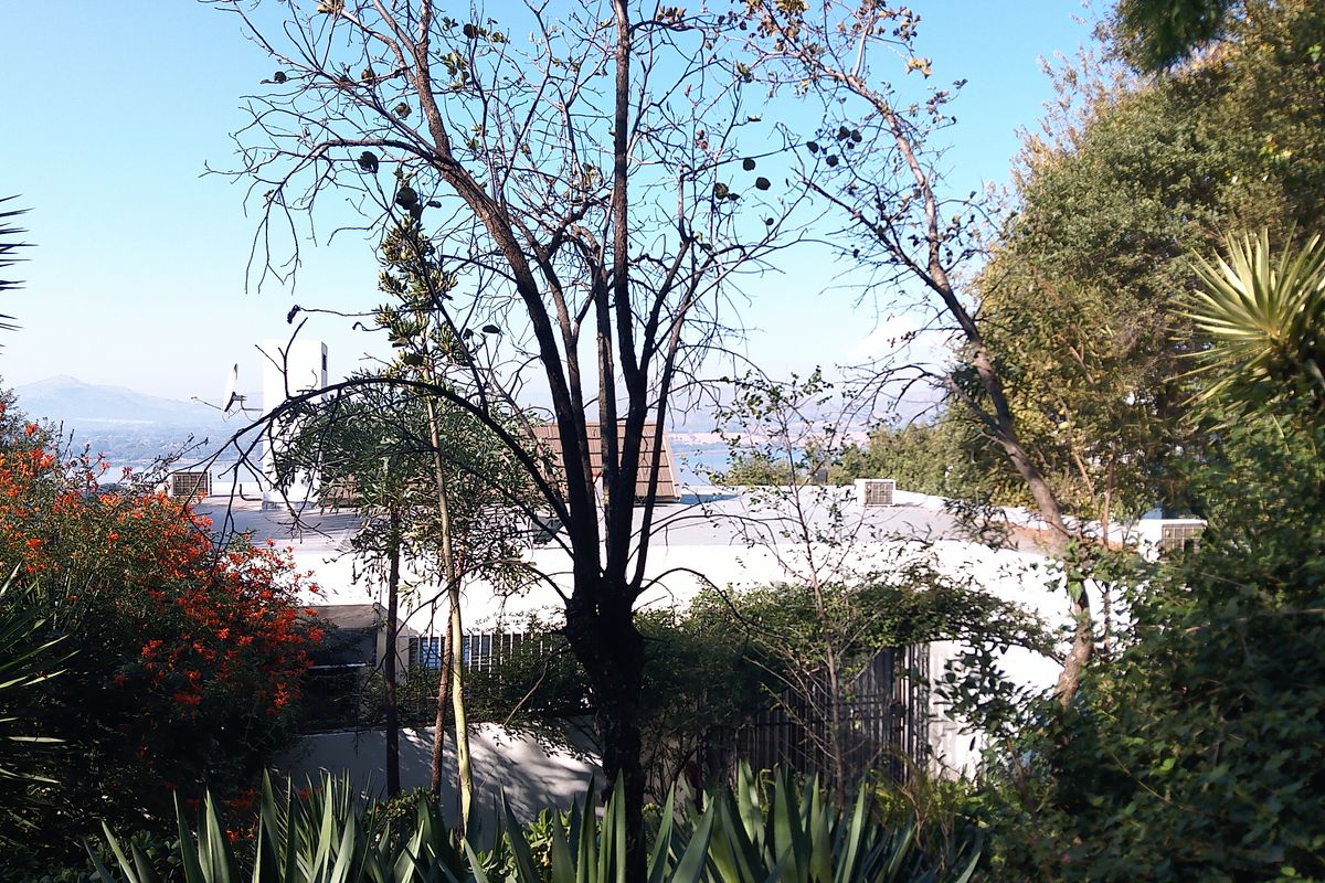 A view of the property exterior and surrounding landscape, featuring mature trees, established garden greenery, and a glimpse of the building roofline.