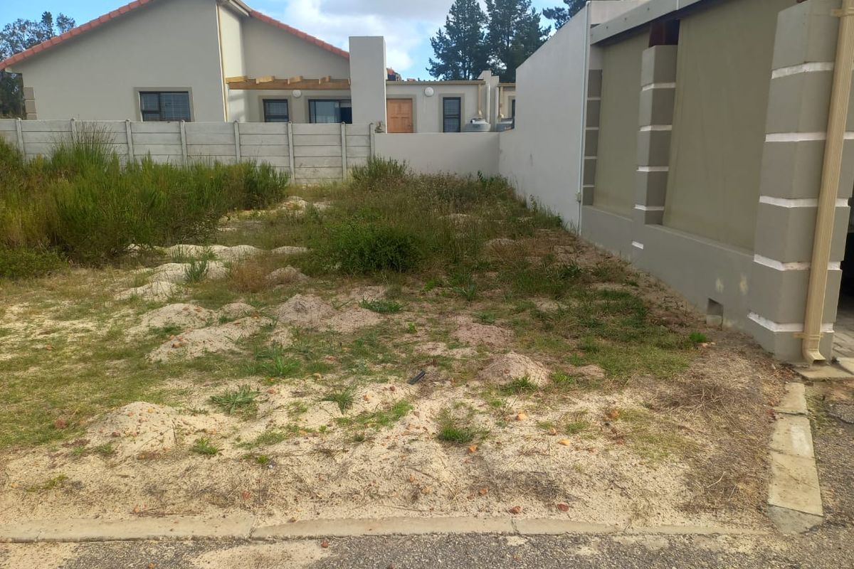 Vacant Land Aloe Park Albertnia - Photo 2