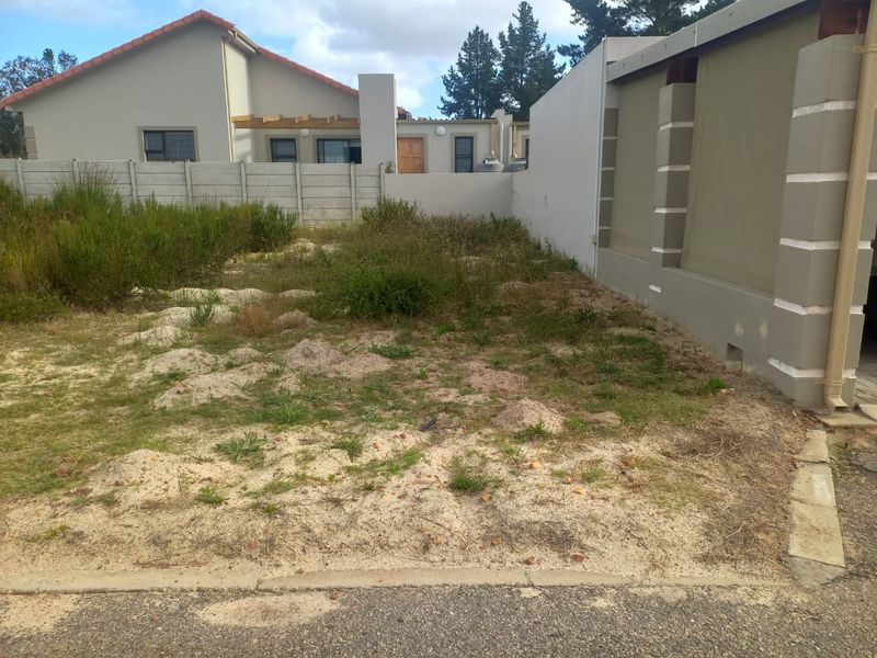 Vacant Land Aloe Park Albertnia - Photo 2
