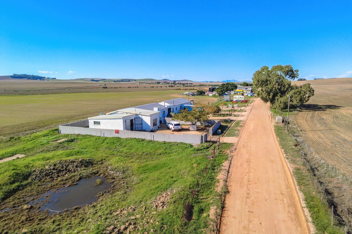 Rare 13.9 Hectare Agricultural Opportunity in Moorreesburg - Exclusive Sole Mandate - Photo 3