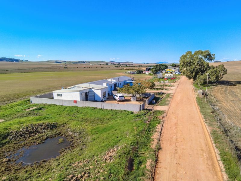 Rare 13.9 Hectare Agricultural Opportunity in Moorreesburg - Exclusive Sole Mandate - Photo 3