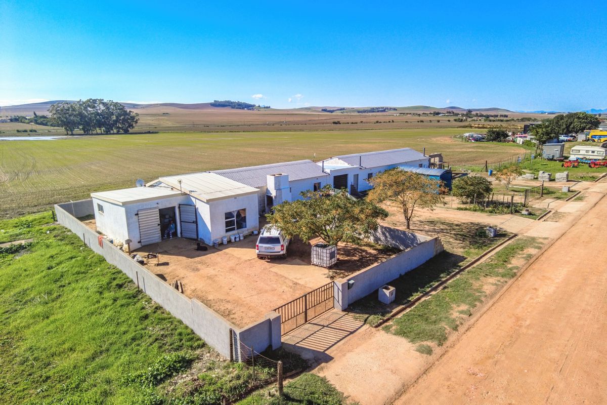 Rare 13.9 Hectare Agricultural Opportunity in Moorreesburg - Exclusive Sole Mandate - Photo 5