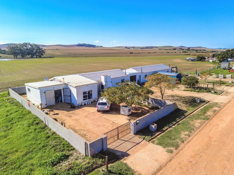 Rare 13.9 Hectare Agricultural Opportunity in Moorreesburg - Exclusive Sole Mandate - Photo 5