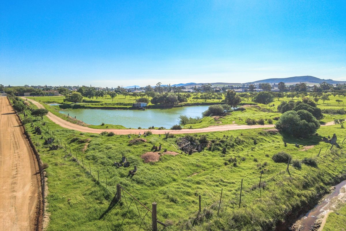 Rare 13.9 Hectare Agricultural Opportunity in Moorreesburg - Exclusive Sole Mandate - Photo 4