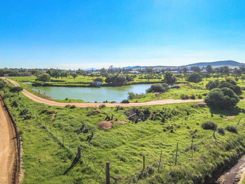 Rare 13.9 Hectare Agricultural Opportunity in Moorreesburg - Exclusive Sole Mandate - Photo 4