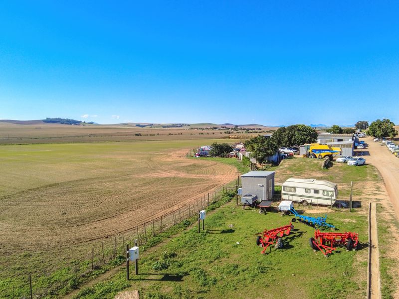 Rare 13.9 Hectare Agricultural Opportunity in Moorreesburg - Exclusive Sole Mandate - Photo 10