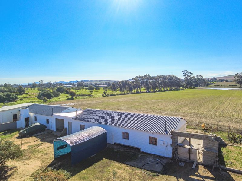 Rare 13.9 Hectare Agricultural Opportunity in Moorreesburg - Exclusive Sole Mandate - Photo 8