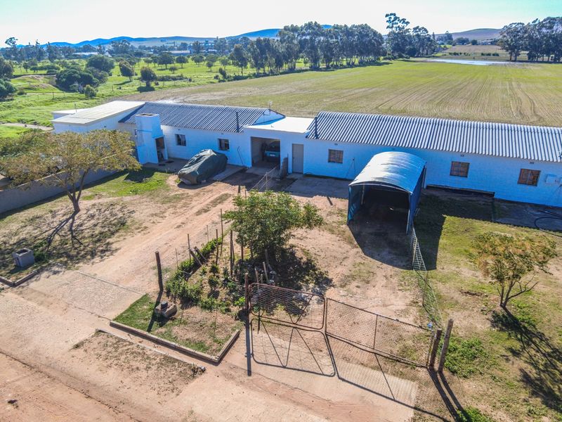 Rare 13.9 Hectare Agricultural Opportunity in Moorreesburg - Exclusive Sole Mandate - Photo 6