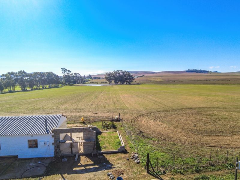 Rare 13.9 Hectare Agricultural Opportunity in Moorreesburg - Exclusive Sole Mandate - Photo 9