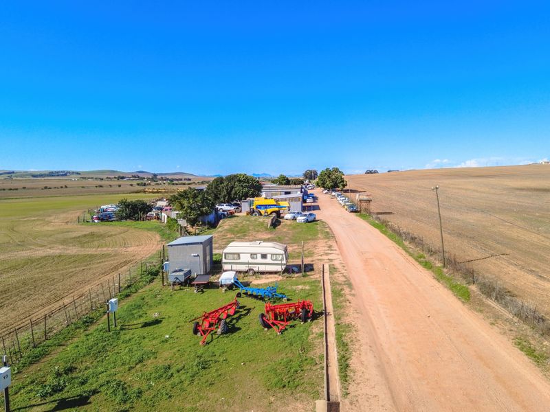 Rare 13.9 Hectare Agricultural Opportunity in Moorreesburg - Exclusive Sole Mandate - Photo 7