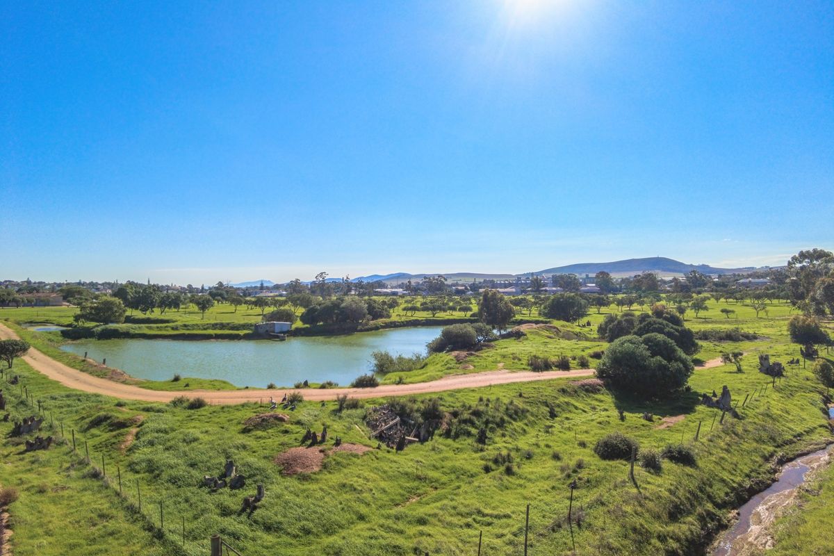 Rare 13.9 Hectare Agricultural Opportunity in Moorreesburg - Exclusive Sole Mandate - Photo 2
