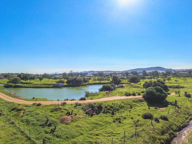 Rare 13.9 Hectare Agricultural Opportunity in Moorreesburg - Exclusive Sole Mandate - Photo 2