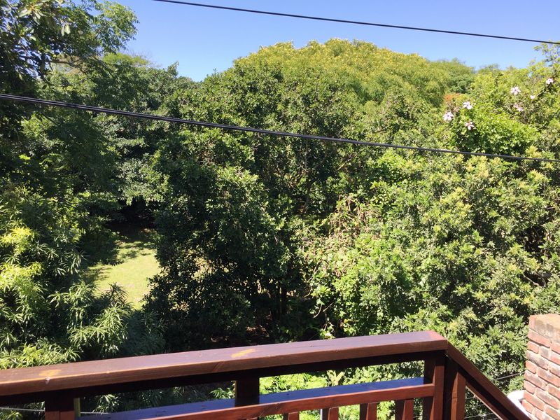 WALMER STUDIO / BACHELOR APARTMENT FOR RENT - Photo 6