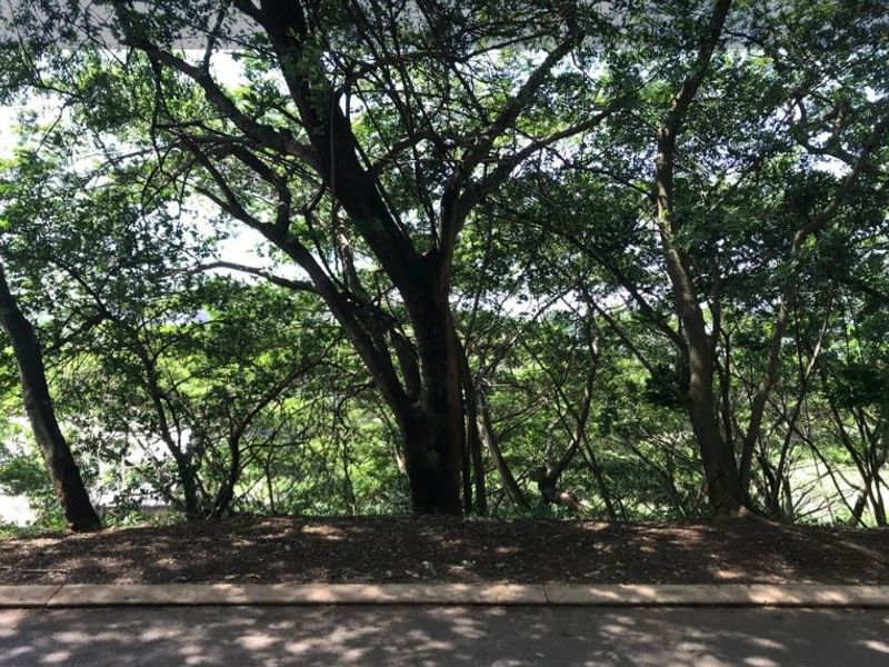 YOUR DREAM STARTS HERE – SIMBITHI GOLF ESTATE - Photo 1