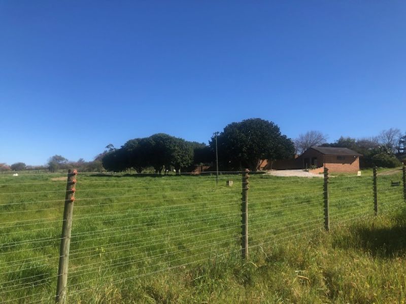 Botfontein Small Holdings – 4-Bedroom Country Property to Rent - Photo 5