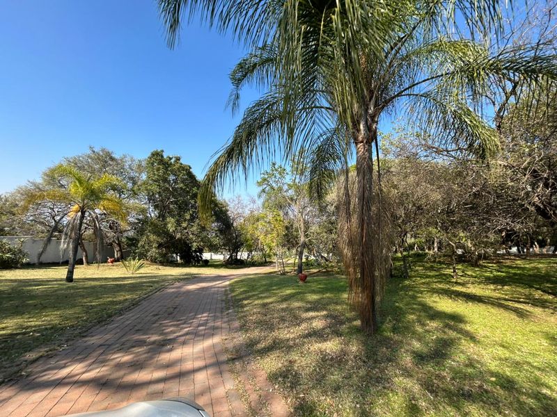 Spectacular 104-hectare Farm with Established Homes, Borehole, Warehouse & Wildlife — Ideal Retreat - Photo 8
