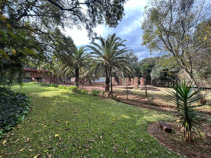 Create, Entertain, Thrive — 8.5ha Hartbeespoort Property - Photo 6