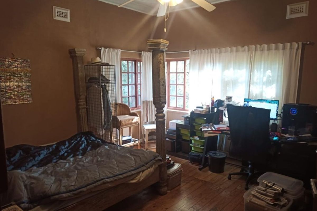 A bedroom featuring timber flooring, decorative ceiling cornices, and a ceiling fan, with large windows providing natural light.
