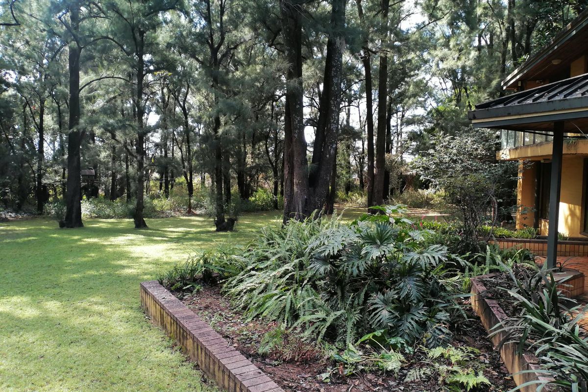 Magnificent Lifestyle with Multiple Dwellings, Tennis Court, Sauna & Guest House Opportunity! - Photo 3
