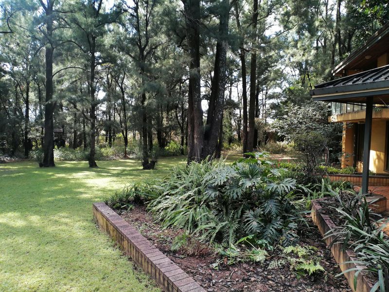 Magnificent Lifestyle with Multiple Dwellings, Tennis Court, Sauna & Guest House Opportunity! - Photo 3