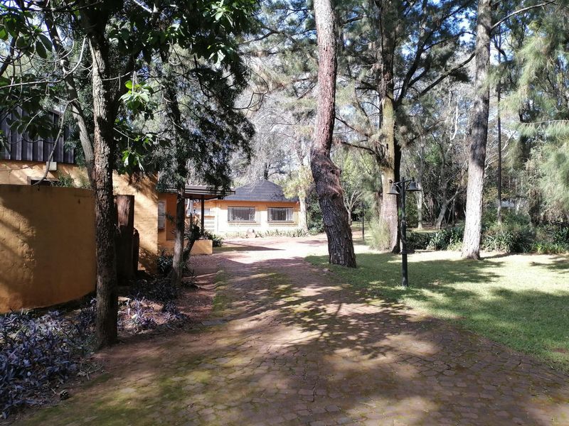 Guest House Opportunity - Photo 1