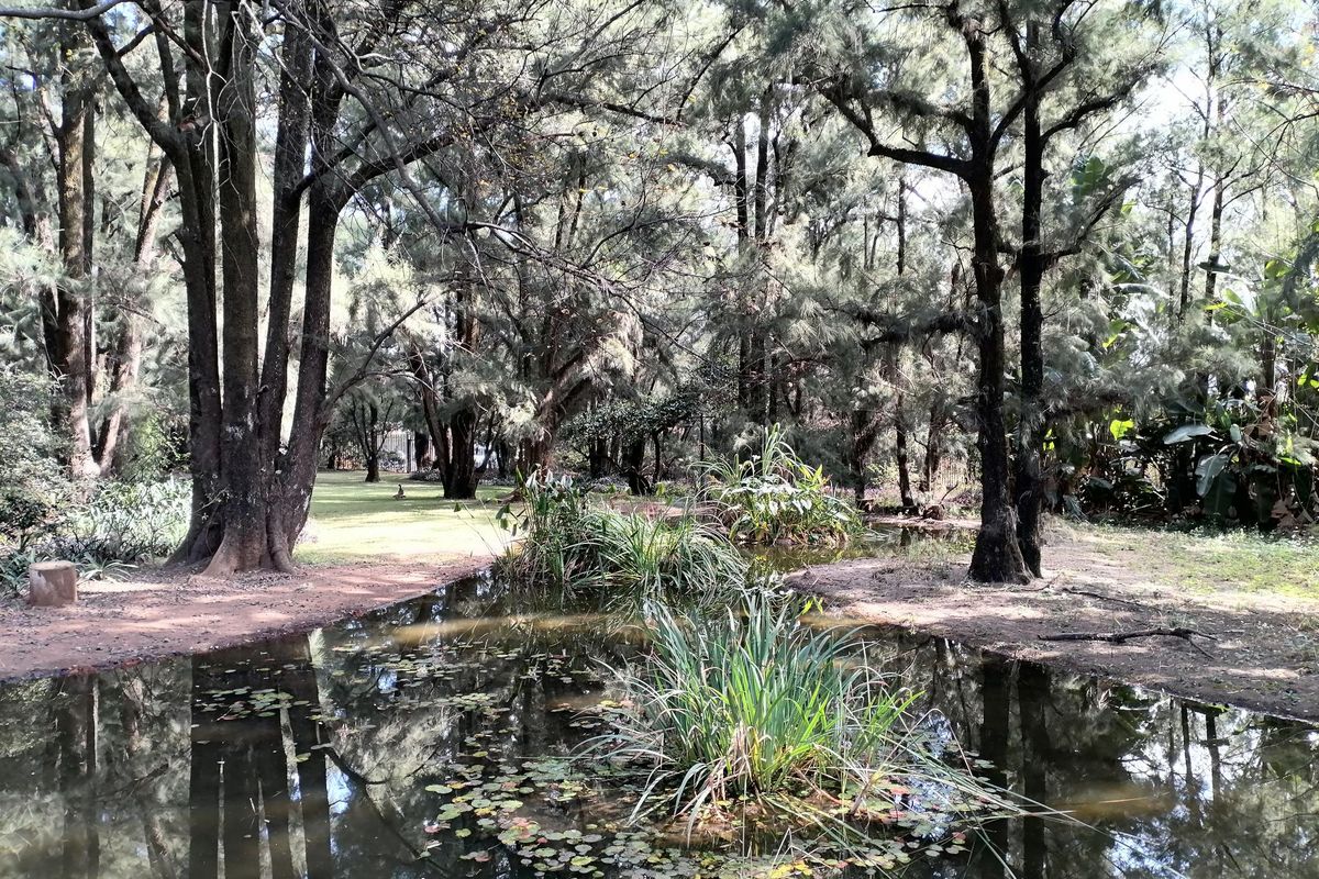 Guest House Opportunity - Photo 2