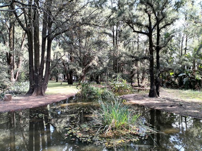 Guest House Opportunity - Photo 2