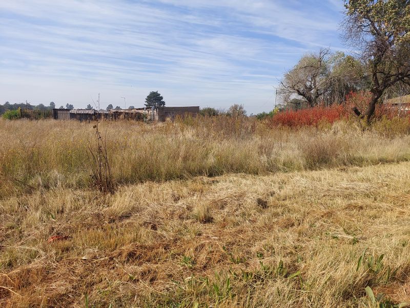 Prime 3700sqm Property with Exceptional Exposure - Photo 9