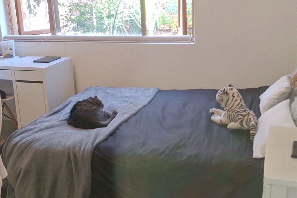 4 Bedroom House For sale In Warwick Benoni with Granny Flat - Photo 4