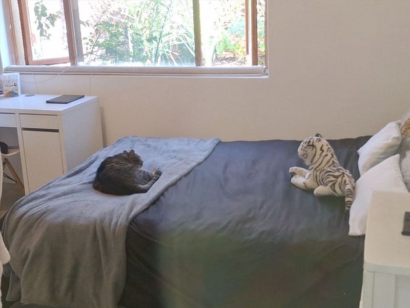 4 Bedroom House For sale In Warwick Benoni with Granny Flat - Photo 4