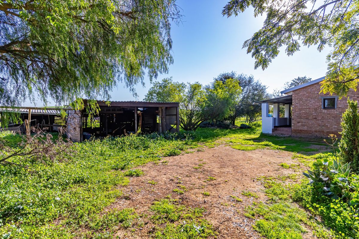 A view of the rear garden area featuring a brick house structure and a dilapidated outbuilding surrounded by overgrown vegetation.