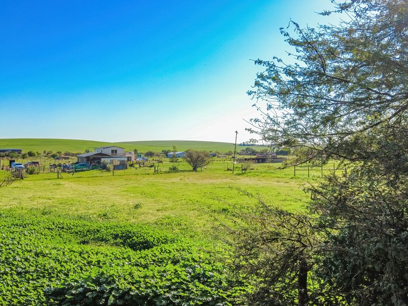 Spacious Smallholding Large Erf in Hooikraal, Moorreesburg - Opportunity for Country Living - Photo 10