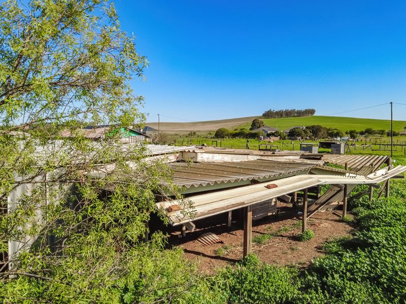 Spacious Smallholding Large Erf in Hooikraal, Moorreesburg - Opportunity for Country Living - Photo 9