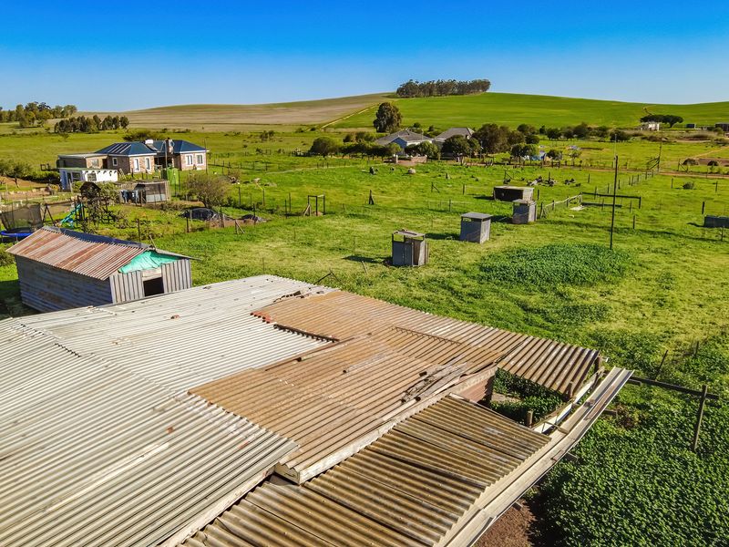 Spacious Smallholding Large Erf in Hooikraal, Moorreesburg - Opportunity for Country Living - Photo 7