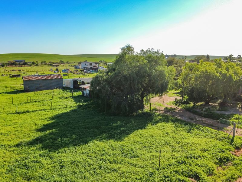 Spacious Smallholding Large Erf in Hooikraal, Moorreesburg - Opportunity for Country Living - Photo 6