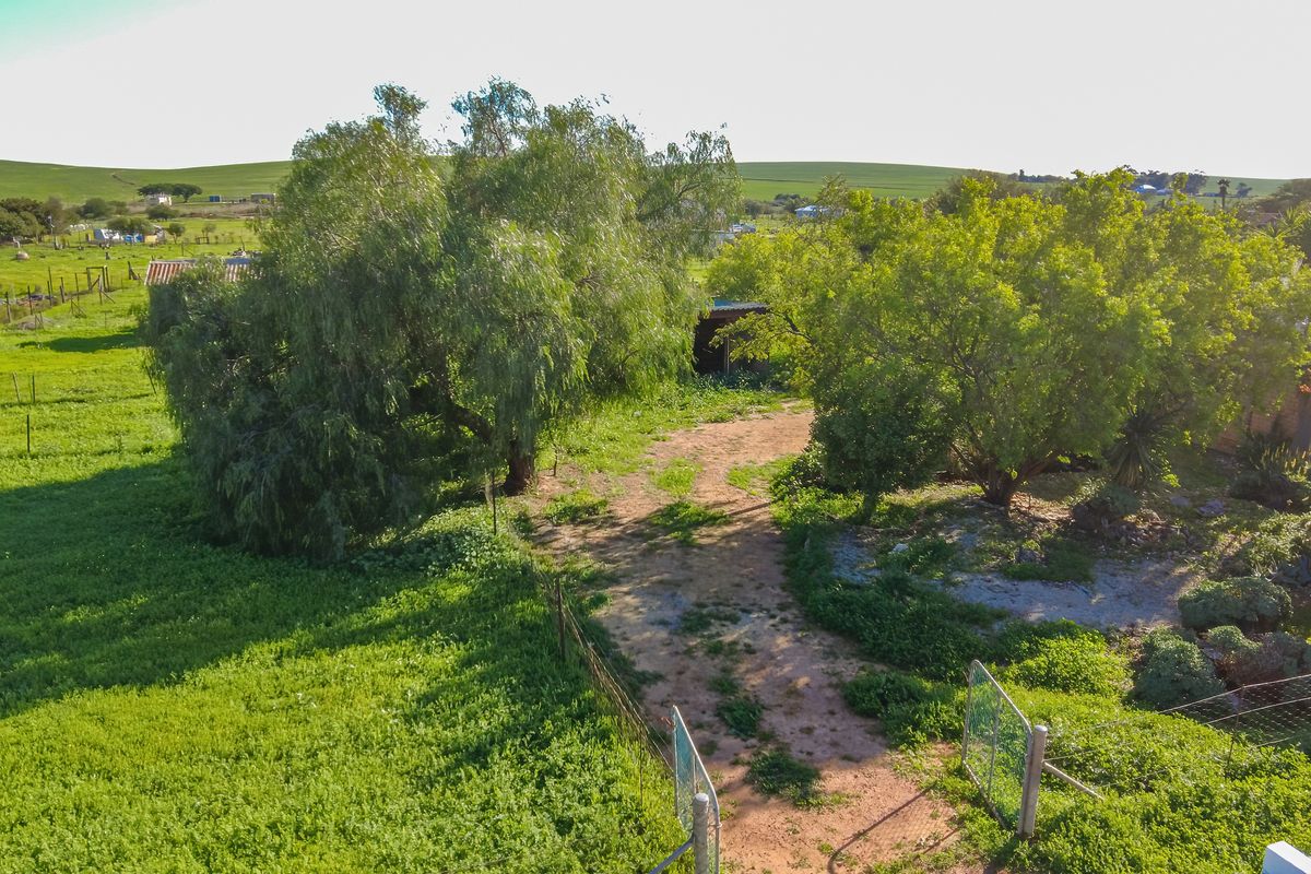 Spacious Smallholding Large Erf in Hooikraal, Moorreesburg - Opportunity for Country Living - Photo 4