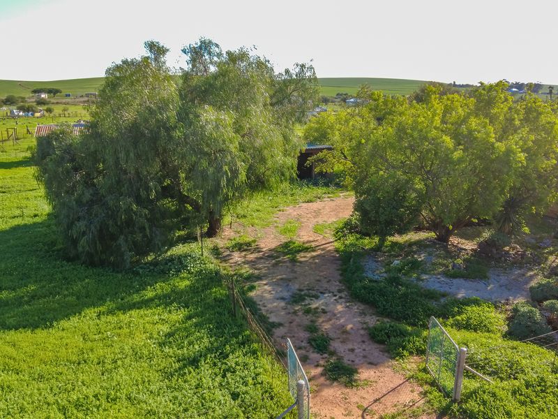 Spacious Smallholding Large Erf in Hooikraal, Moorreesburg - Opportunity for Country Living - Photo 4
