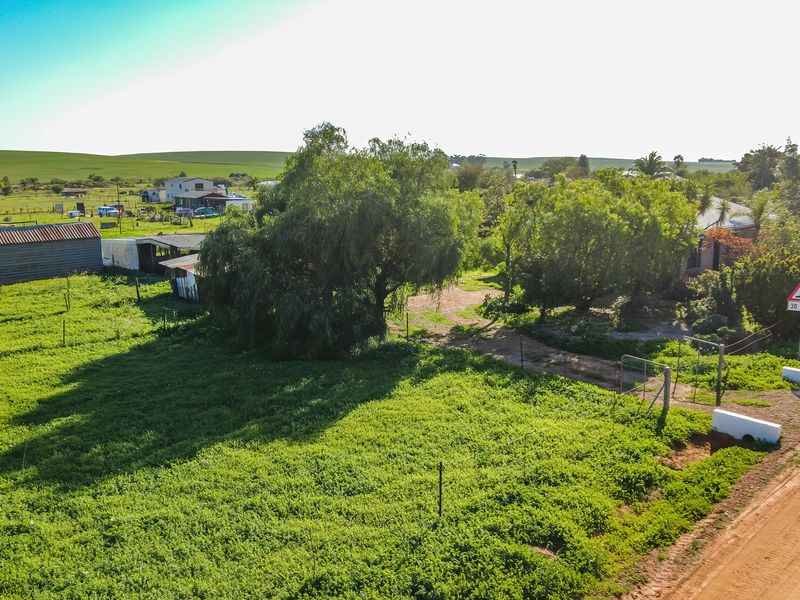 Spacious Smallholding Large Erf in Hooikraal, Moorreesburg - Opportunity for Country Living - Photo 5