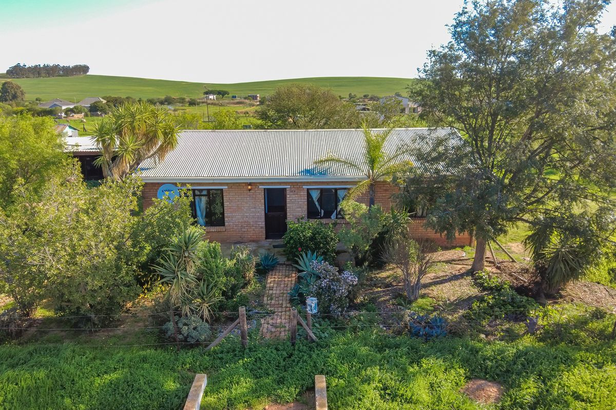 Spacious Smallholding Large Erf in Hooikraal, Moorreesburg - Opportunity for Country Living - Photo 3