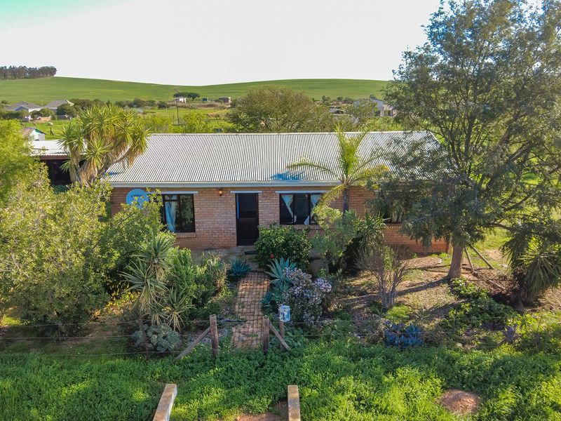 Spacious Smallholding Large Erf in Hooikraal, Moorreesburg - Opportunity for Country Living - Photo 3